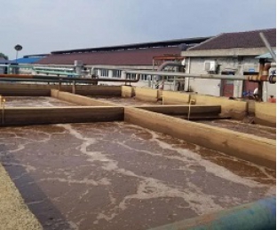 出水氨氮大于進水氨氮，怎么回事？