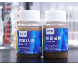 生化系統(tǒng)崩潰，氨氮超標，我該怎么辦?