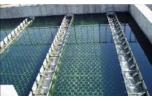 【干貨】生物濾池為什么一受沖擊氨氮去除率就會下降？